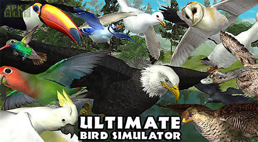 ultimate bird simulator