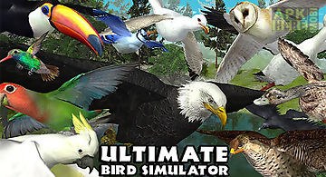 Ultimate bird simulator