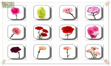 carnation flowers onet classic game