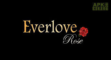 Everlove: rose