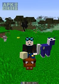 pets mod pro - for minecraft