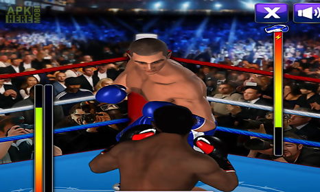 ultimate boxing 2015