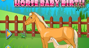 Horse baby birth