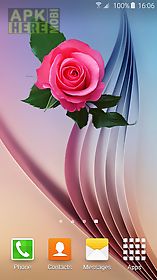 rose flower gif