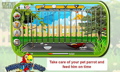 pet parrot - 2d pet simulator