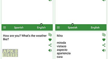 Spanish - english translator