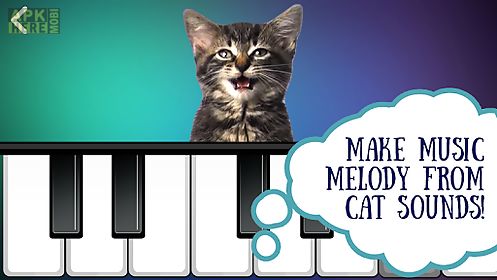 cat piano. sounds-music