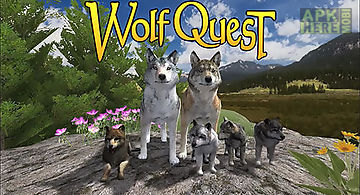 Wolf quest