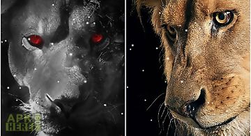 Eyes lion Live Wallpaper