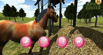 My pony world 3d
