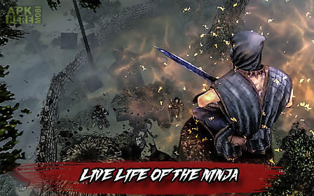 ninja assassin-sword fight 3d