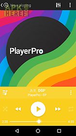 skin for playerpro clean color