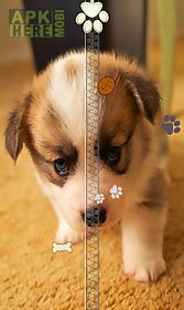 cute puppy zipper lock screen