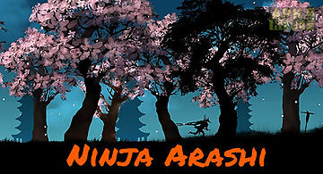 Ninja arashi