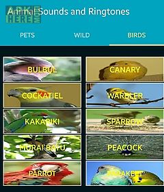 animal sounds and ringtones