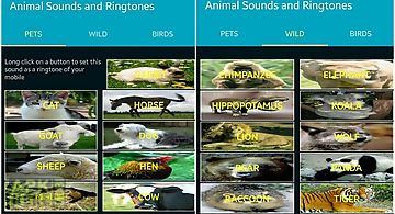 Animal sounds and ringtones