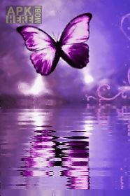 purple butterfly reflected in