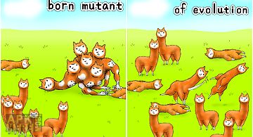 Alpaca evolution