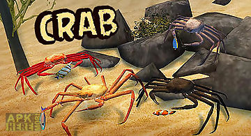 Crab simulator 3d