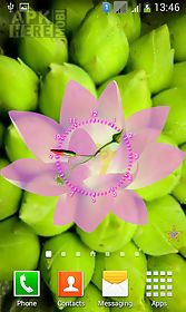 lotus flower clock