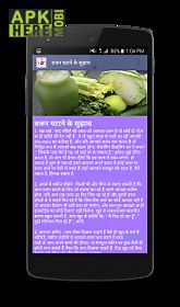diet plan in hindi