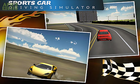 sports car driving simulator