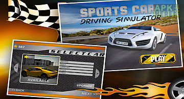 Sports car driving simulator