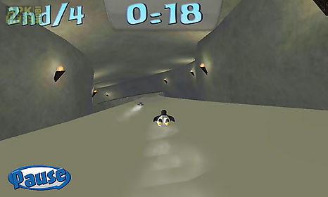 penguin snowcap challenge lite