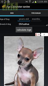 age calculator canine free