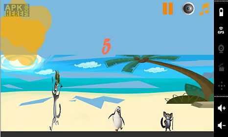 penguin madagascar on beach