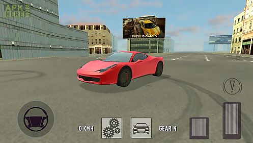 extreme racing car simulator