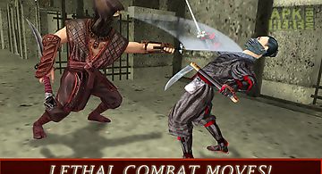 Ninja warrior assassin 3d