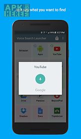 voice search launcher