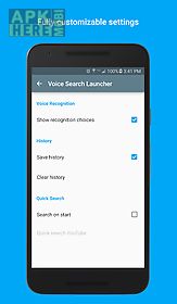 voice search launcher