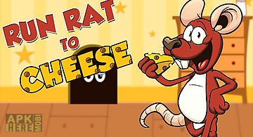 Run rat to cheese