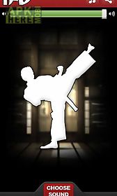 ifu - virtual kung fu game