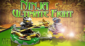 Ninja: ultimate fight