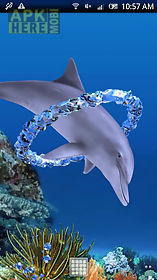 dolphin ring trial