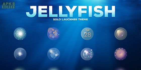 jellyfish - solo theme