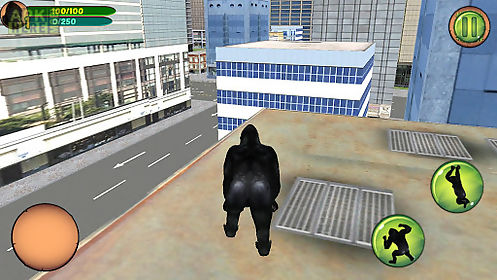 real gorilla vs zombies - city