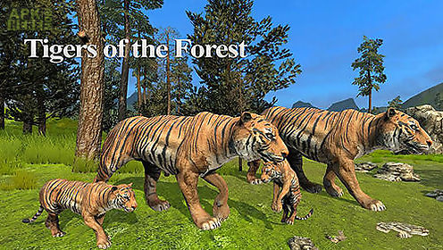 tigers of the forest