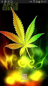 marijuana rastafari animated