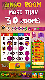 praia bingo + videobingo free