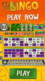 praia bingo + videobingo free