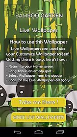 bamboo garden  live wallpaper