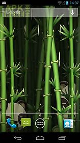 bamboo garden  live wallpaper