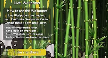Bamboo garden  Live Wallpaper