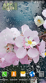 blooming trees live wallpaper