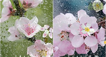 Blooming trees Live Wallpaper