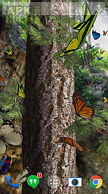 butterflies 3d  live wallpaper